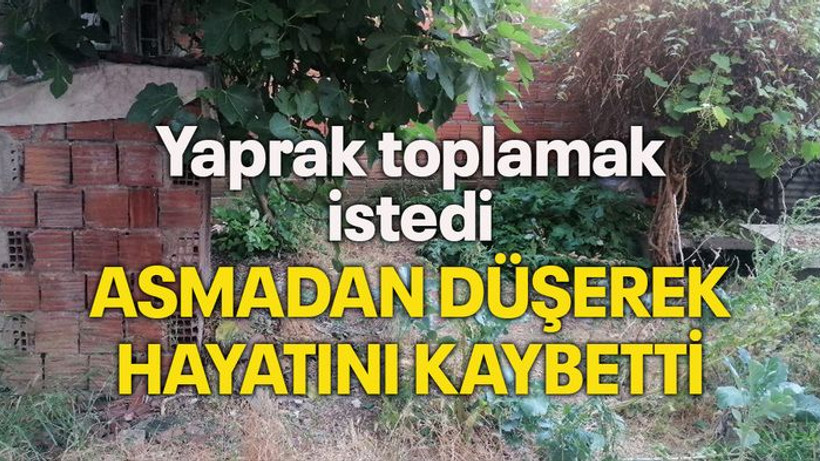 Yaprak toplamak istedi asmadan düşerek hayatını kaybetti